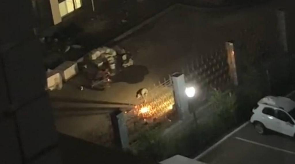 Более 7 тысяч лиц наказаны за нарушение тишины ночью в Астане с начала года