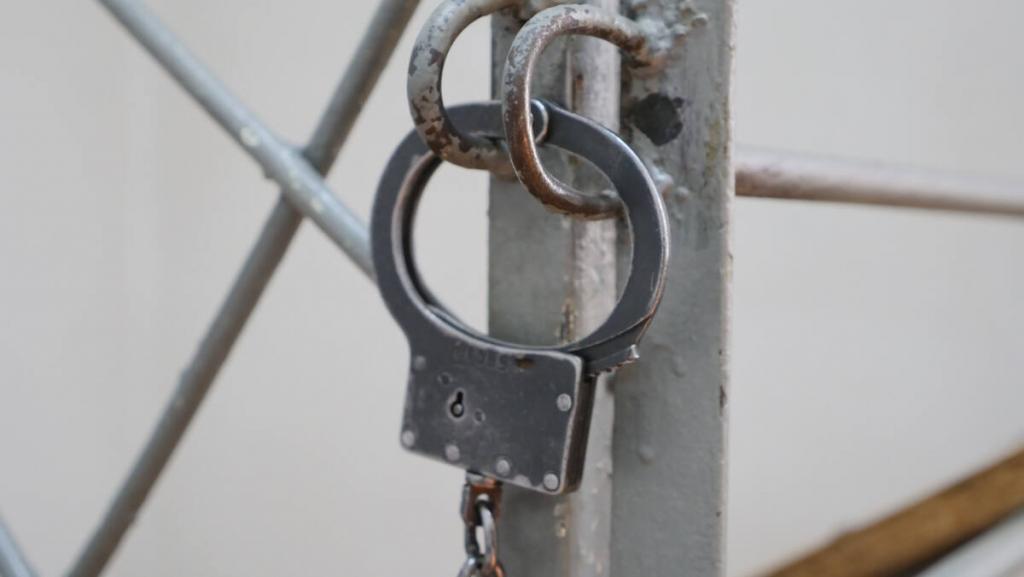 24 уголовных преступника переданы коллегам из соседних стран полицейскими СКО