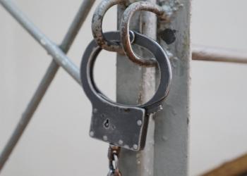 24 уголовных преступника переданы коллегам из соседних стран полицейскими СКО