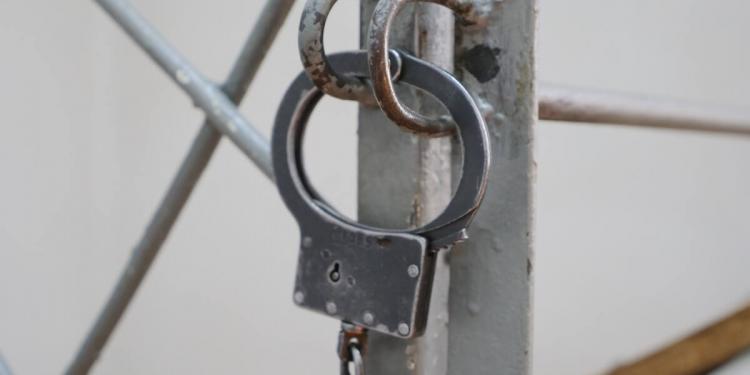 24 уголовных преступника переданы коллегам из соседних стран полицейскими СКО