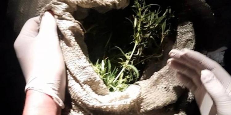 Более 24 кг наркотиков перевозил в машине житель Тараза