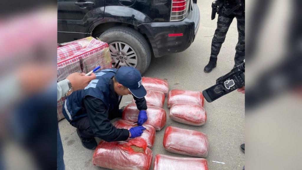 Более 79 кг марихуаны изъяли полицейские в Актау