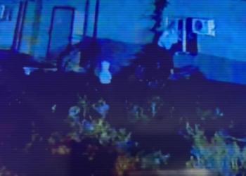 Полицией задержана группа воров-гастролеров