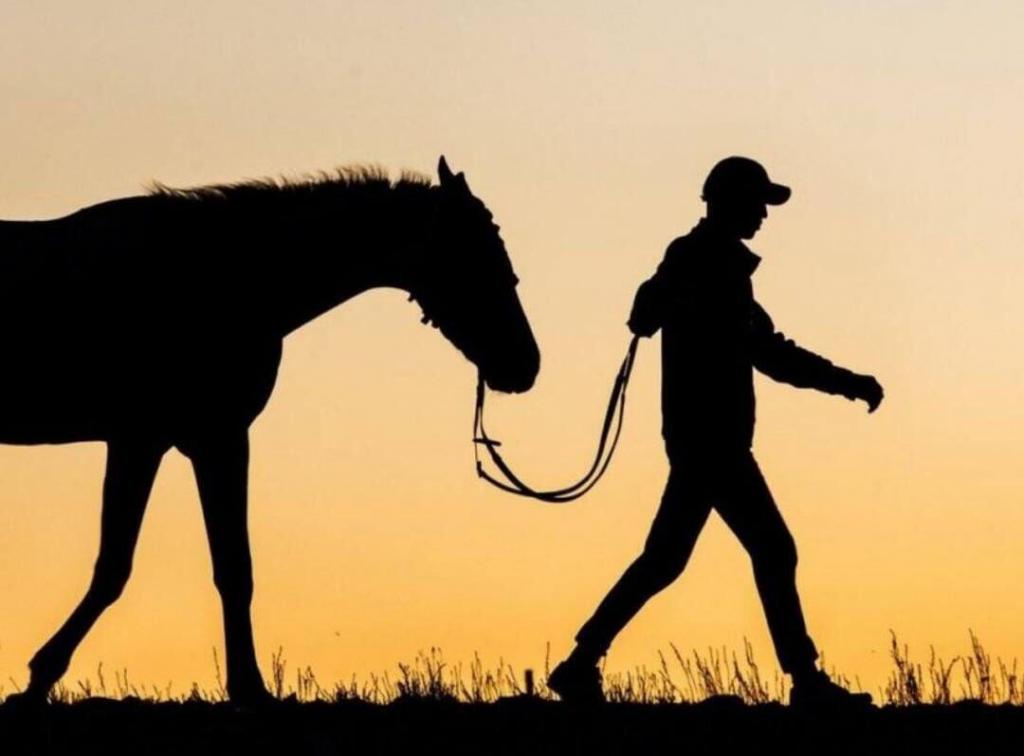 Полиция задержала подозреваемого в краже лошади в Туркестанской области