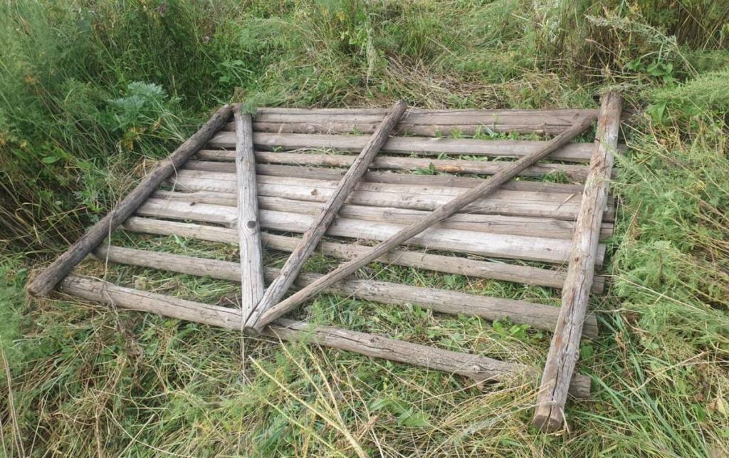 Аскет помог найти украденного жеребца в Акмолинской области