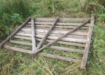 Аскет помог найти украденного жеребца в Акмолинской области