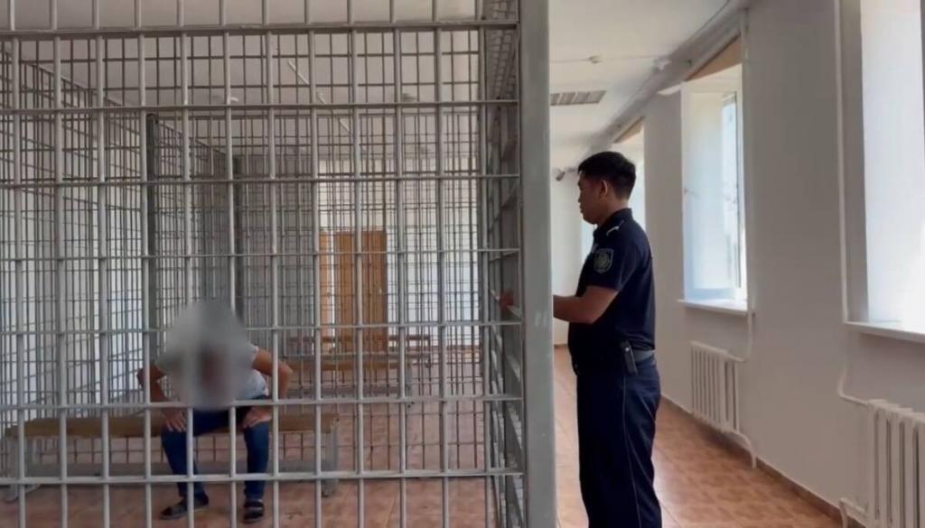 Дебошира задержали полицейские в Акмолинской области