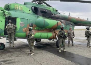 Две плантации конопли выявили полицейские с помощью вертолета в области Улытау