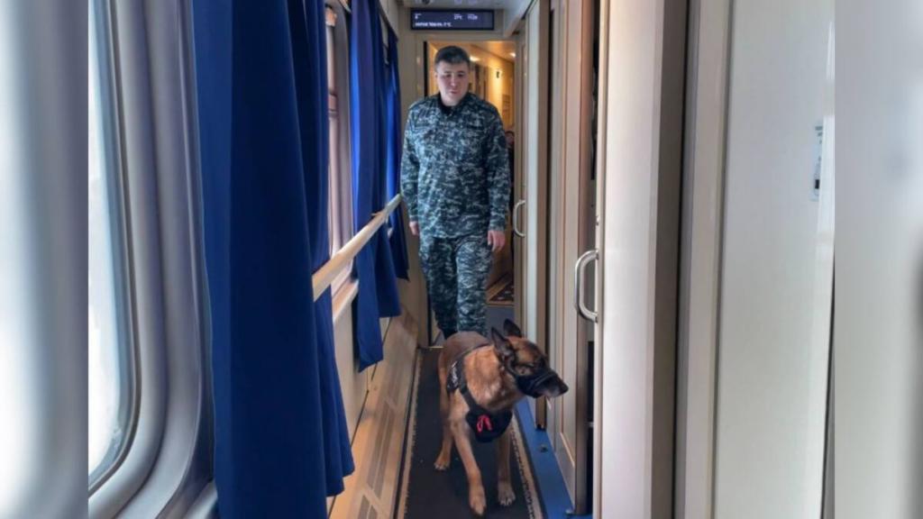 Иностранец задержан за перевозку наркотиков