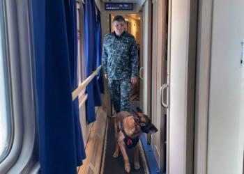 Иностранец задержан за перевозку наркотиков