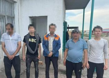 Незаконно работающих мигрантов выявили в Акмолинской области