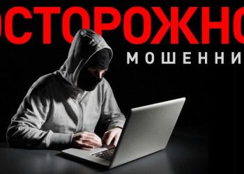 Павлодарцы продолжают поддаваться на уловки мошенников в интернете