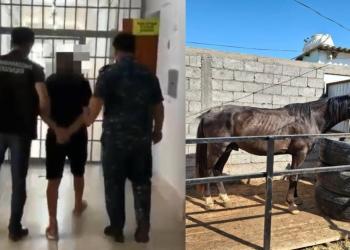 Серийных скотокрадов задержали в Туркестанской области