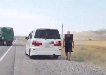 Водители на Toyota Alphard продолжают нарушать ПДД в Жамбылской области