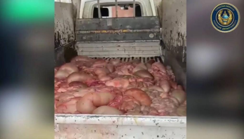 Регистрация скотокрадства снизалась почти вдвое в Туркестанской области