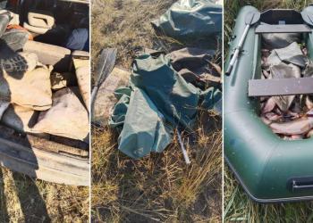 Два факта браконьерства выявлено во время рейда в Карагандинской области