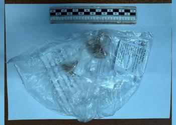 Подозреваемый в угоне автомобиля задержан в Кызылординской области