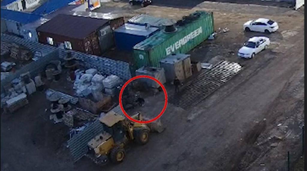 Похитителей медного кабеля задержали полицейские в Астане