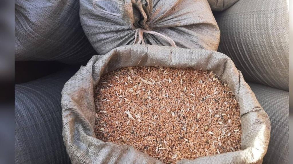 Предприниматели поблагодарили полицейских за раскрытие крупной кражи зерна в СКО