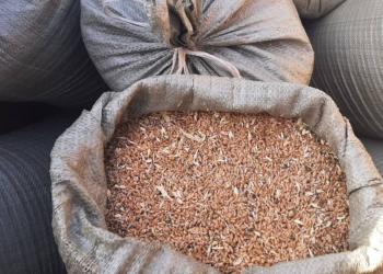 Предприниматели поблагодарили полицейских за раскрытие крупной кражи зерна в СКО