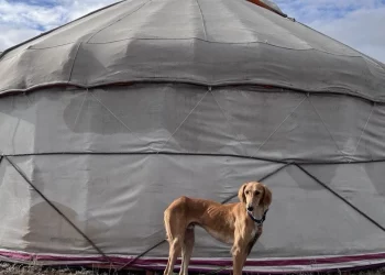 фото; https://qr-pib.kz/ru/p/36562