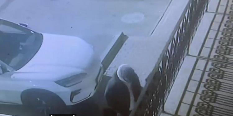 Ночные грабители задержаны в Алматы