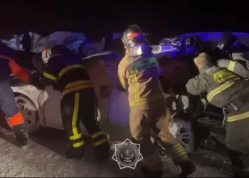 Фото: Скриншот из видео t.me/dchsakmol