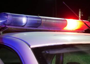 Очередное ДТП с участием животных зарегистрировали в Акмолинской области