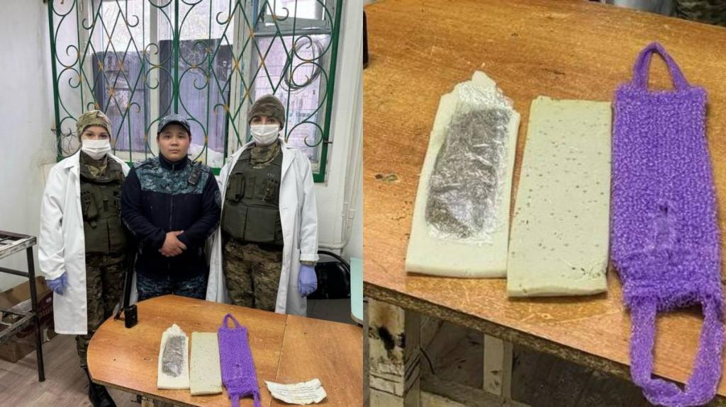 Попытку проноса марихуаны пресекли сотрудники колонии в СКО