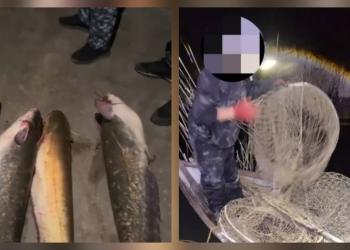 Браконьер с 45 кг рыбы задержан в Жамбылской области