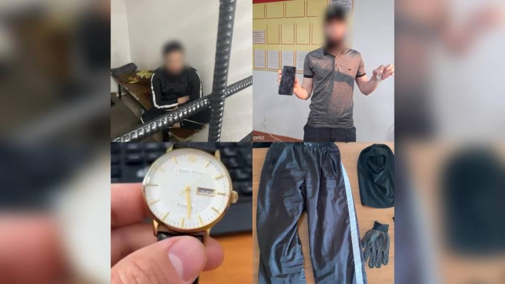 Группу серийных домушников задержали в Алматы