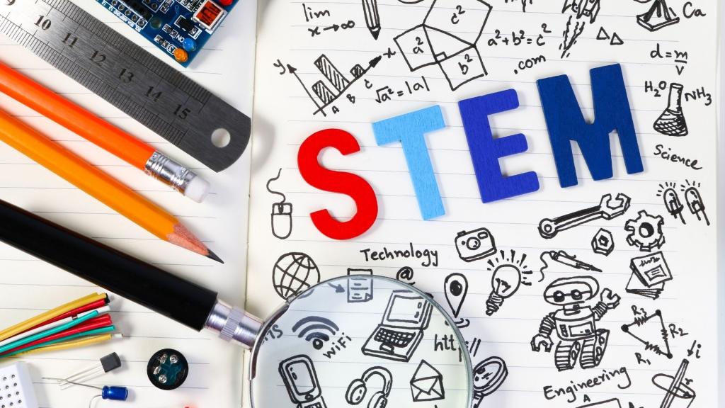 STEM Academia