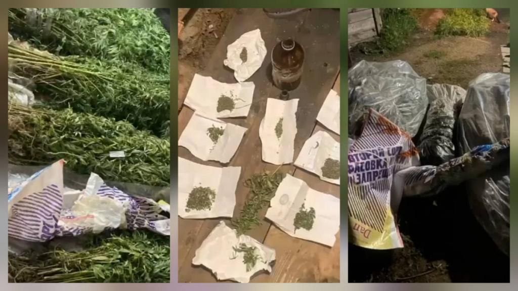 72 кг наркотиков изъяли транспортные полицейские у акмолинца