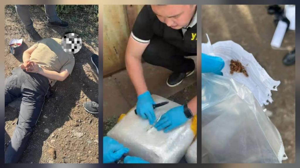 Крупный канал поставки наркотиков перекрыт в Экибастузе