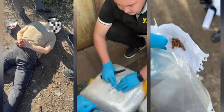 Крупный канал поставки наркотиков перекрыт в Экибастузе