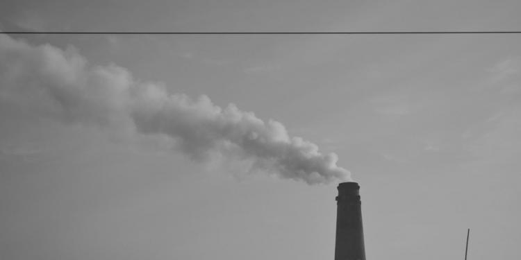 Фото: Hassaan Tahir / Unsplash