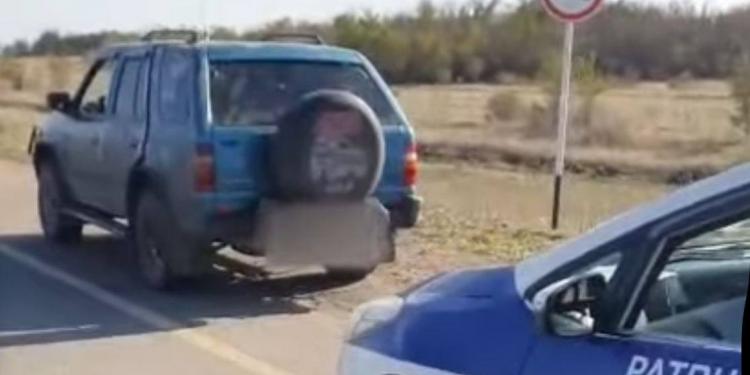 На трассе в Акмолинской области поймали перевозчика дичи без документов