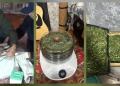 Урожай под Глубоковским: полицейские задержали садовода в ВКО