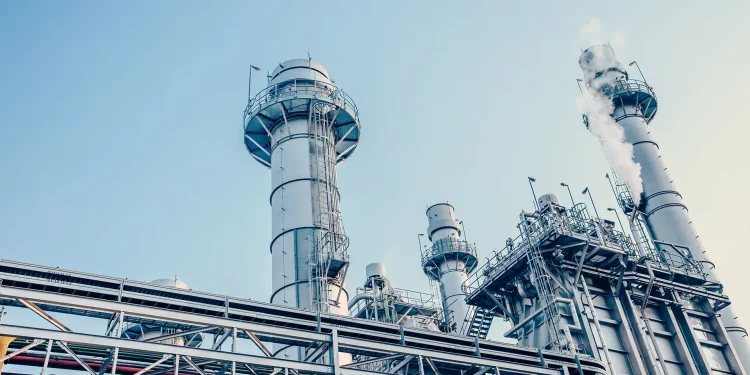 Фото: shutterstock